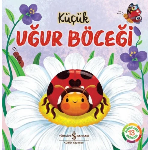 Küçük Uğur Böceği