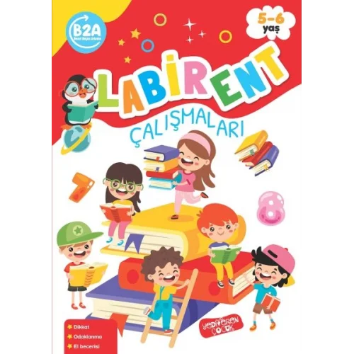 Labirent Çalışmaları