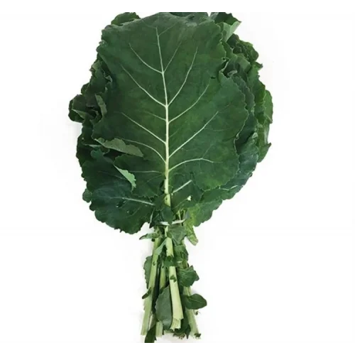 LAHANA KARADENİZ (ÇOKLU TOHUM) - 5 Gram