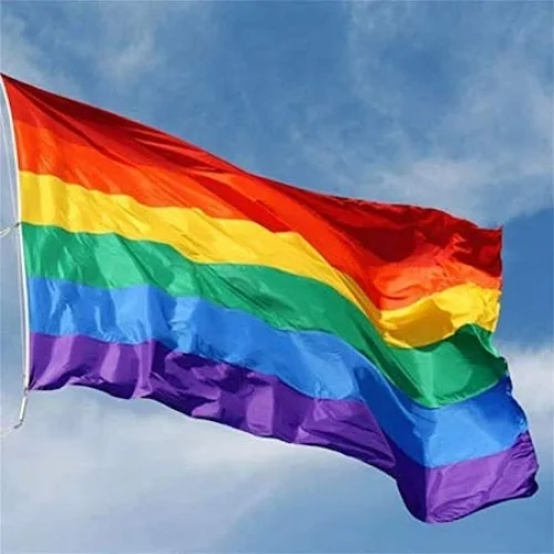 LGBT Bayrağı 70x105 Cm