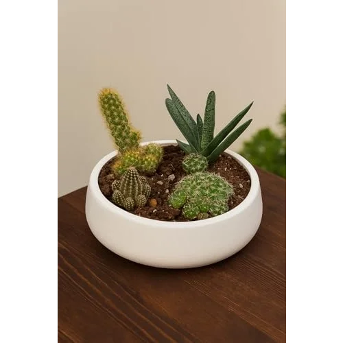 Lümin Modern Beyaz Dekoratif Kase – El Yapımı Minimalist Tasarım