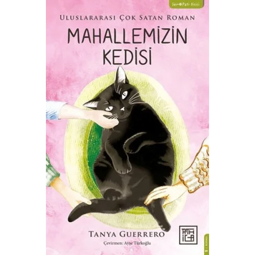 Mahallemizin Kedisi