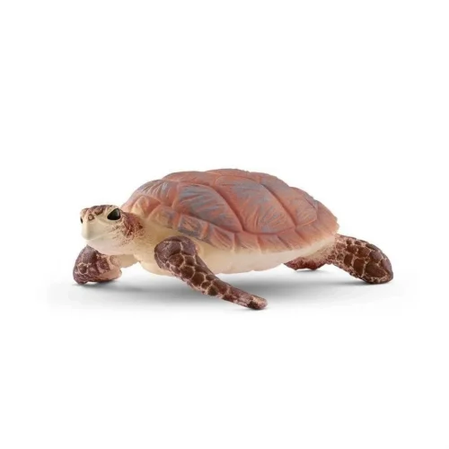 Mey İthalat® Deniz Kaplumbağası