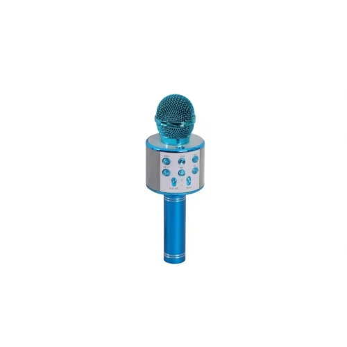 Mey İthalat® EMR-101 KUTULU KARAOKE MİKROFON