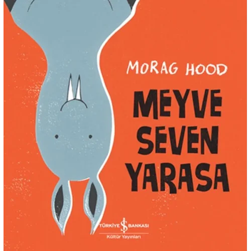 Meyve Seven Yarasa