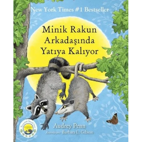 Minik Rakun Arkadaşında Yatıya Kalıyor