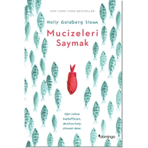 Mucizeleri Saymak