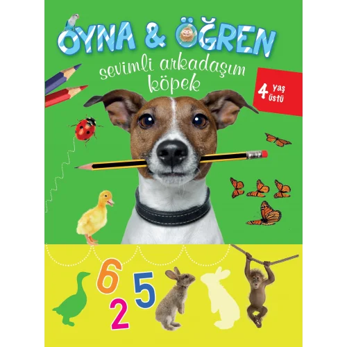 Oyna Öğren Sevimli Arkadaşım Köpek 4 Yaş Üstü