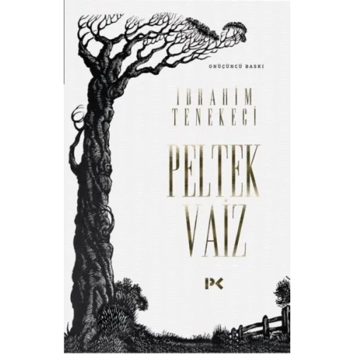 Peltek Vaiz