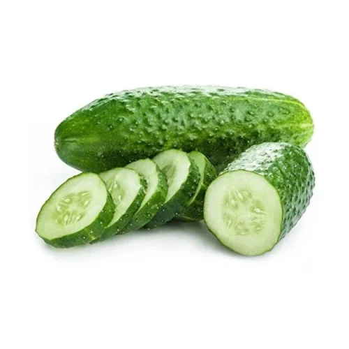 SALATALIK KORNİŞON (ÇOKLU TOHUM) - 3 Gram
