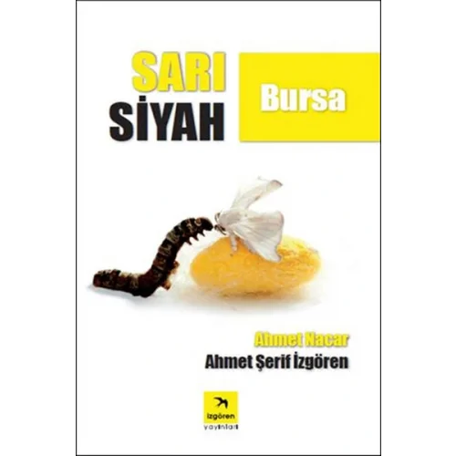 Sarı Siyah Bursa
