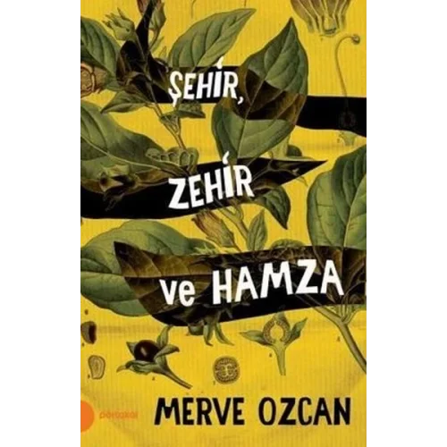 Şehir Zehir ve Hamza