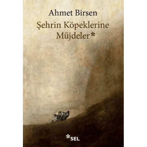 Şehrin Köpeklerine Müjdeler