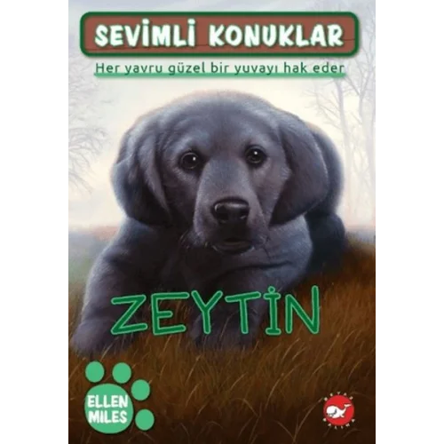 Sevimli Konuklar 3 - Zeytin