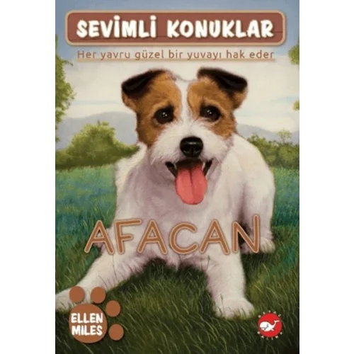 Sevimli Konuklar 4 -Afacan