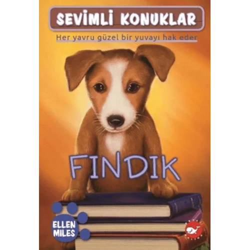 Sevimli Konuklar 5 - Fındık