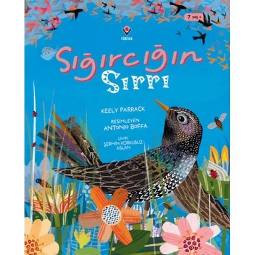 Sığırcığın Sırrı