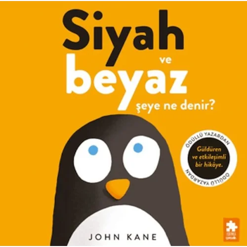 Siyah ve Beyaz Şeye Ne Denir?