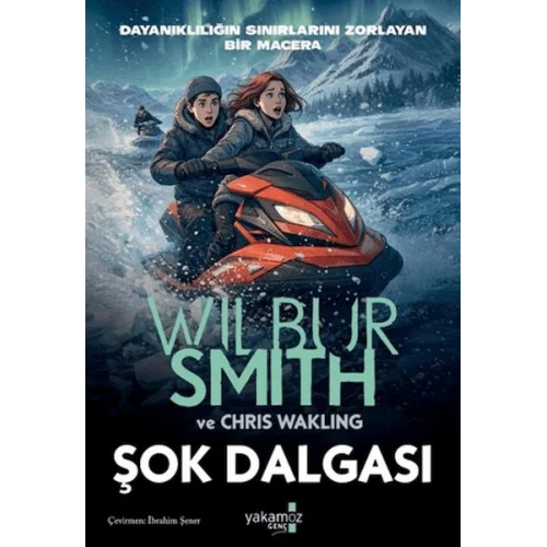 Şok Dalgası