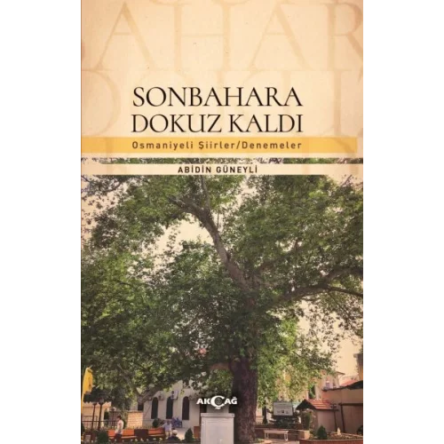 Sonbahara Dokuz Kaldı