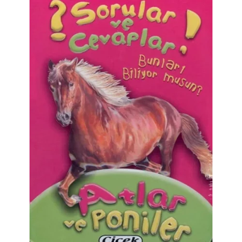 Sorular Ve Cevaplar Kart Atlar Ve Poniler