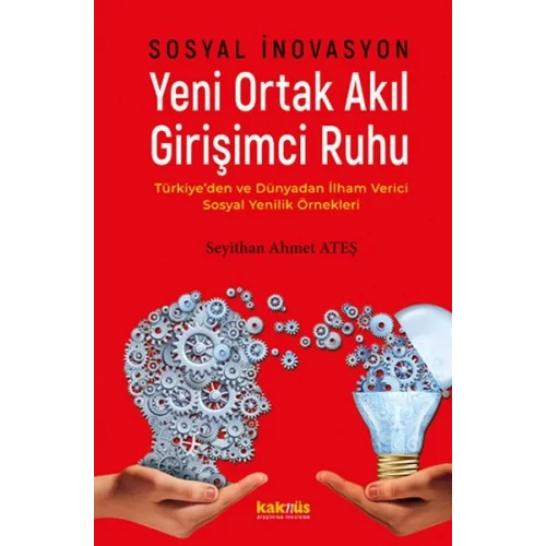 Sosyal İnovasyon Yeni Ortak Akıl Girişimci Ruhu