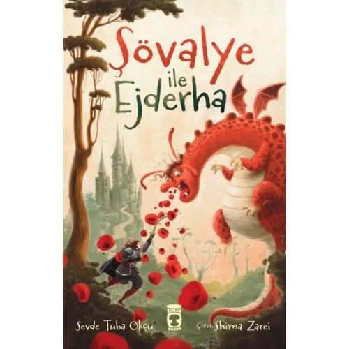 Şövalye ile Ejderha