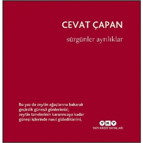 Sürgünler Ayrılıklar