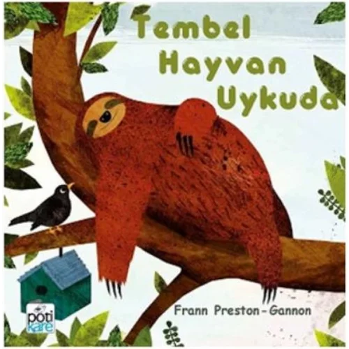 Tembel Hayvan Uykuda