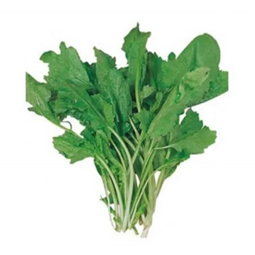 TERE İNCE (ÇOKLU TOHUM) - 10 Gram