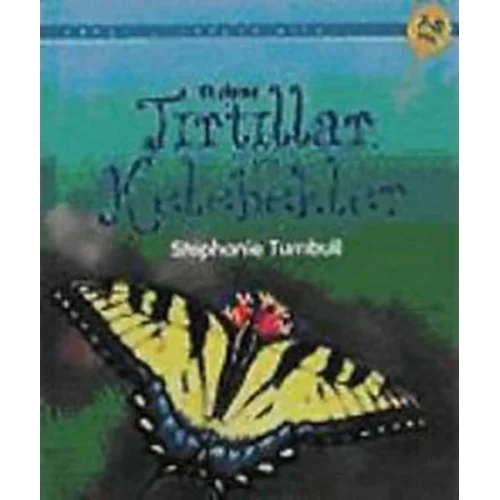 İlk Okuma - Tırtıllar ve Kelebekler