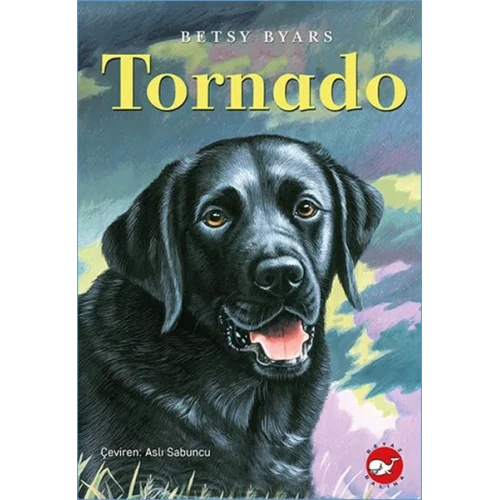 Tornado