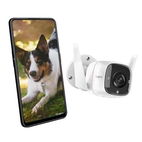 TP-Link TC65, 2K 3MP, Hareket Algılama, IP66 Su Geçirmez, 30m Gece Görüşü, Çift Yönlü Ses, Bulut/Yerel Depolama, Sesli ve Işıklı Alarm, Dış Mekan Wi-Fi/Ethernet Güvenlik Kamerası