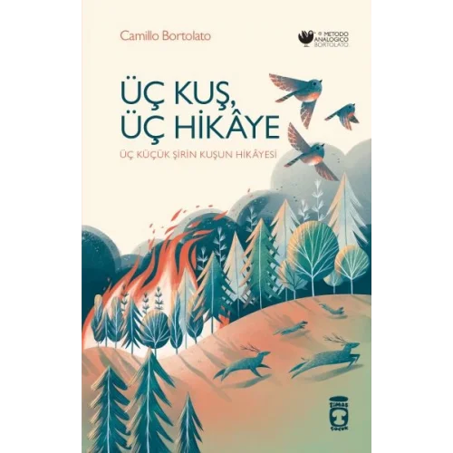 Üç Kuş, Üç Hikâye