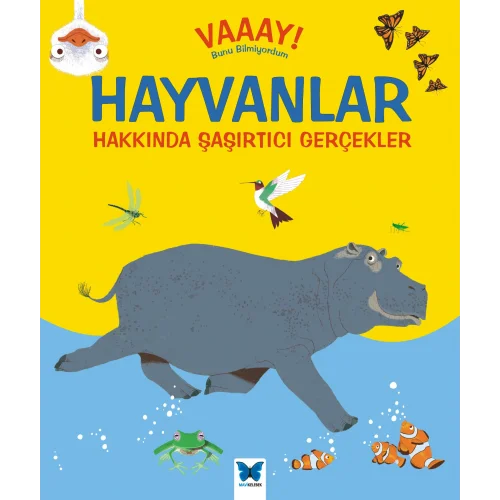 Vaaay! Bunu Bilmiyordum - Hayvanlar Hakkında Şaşırtıcı Gerçekler