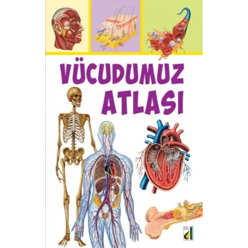 Vücudumuz Atlası