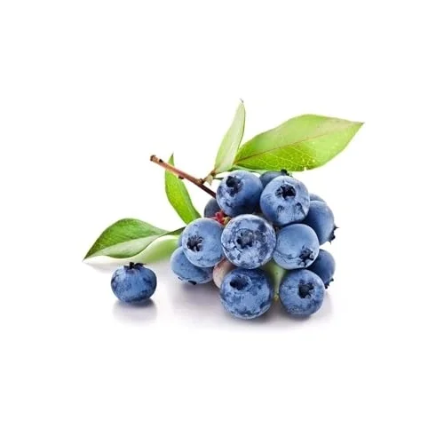 Yaban Mersini Tohumu Blueberry Tohumu