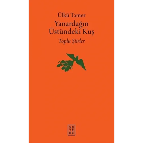 Yanardağın Üstündeki Kuş