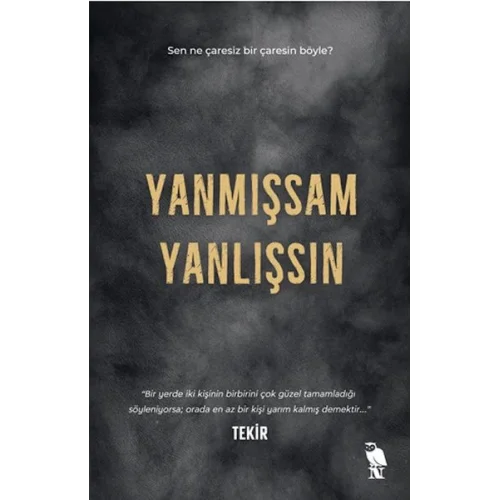 Yanmışsam Yanlışsın