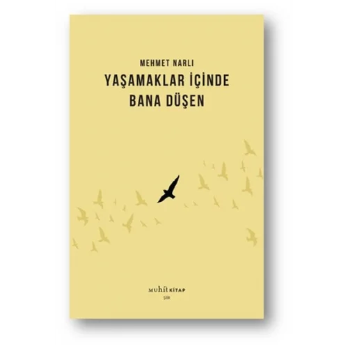 Yaşamaklar İçinde Bana Düşen