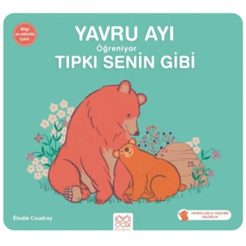 Yavru Ayı Öğreniyor Tıpkı Senin Gibi