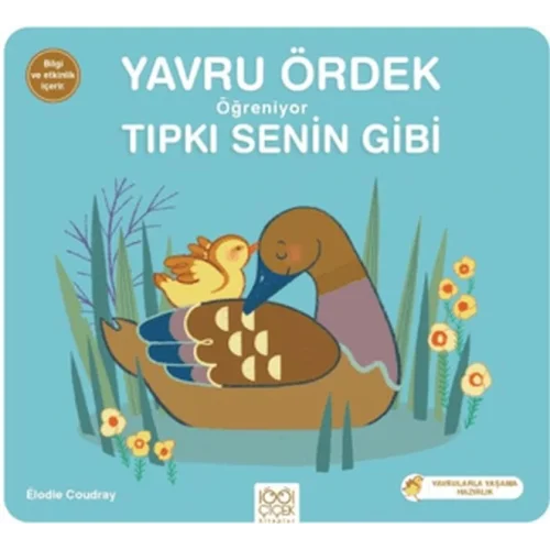 Yavru Ördek Öğreniyor Tıpkı Senin Gibi