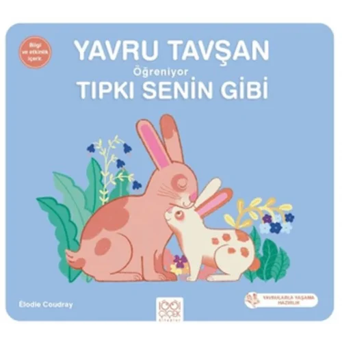 Yavru Tavşan Öğreniyor Tıpkı Senin Gibi