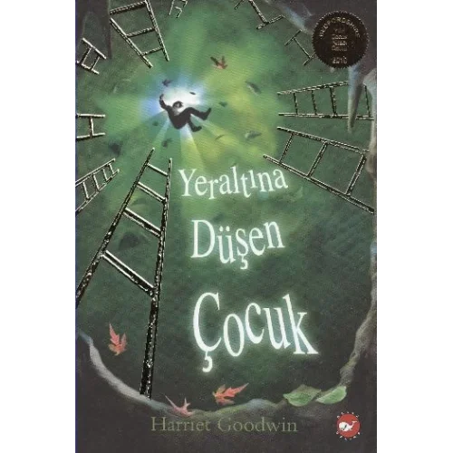 Yeraltına Düşen Çocuk