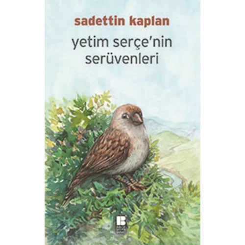 Yetim Serçenin Serüvenleri