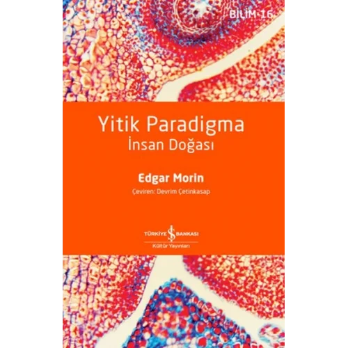 Yitik Paradigma: İnsan Doğası
