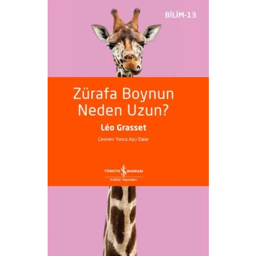 Zürafa Boynun Neden Uzun?