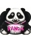Hayvanlar Aleminin En Sevimlisi : Panda