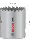 1 x PRO Multi Malzeme Delik Testeresi (Yumuşak Ahşap, Alçıpan Duvar için, Ø 43 mm, Profesyonel Aksesuar Matkap/Tornavida)