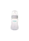 1 X Silver Biberon 250 ml & Anti-Kolik Biberon Emziği No:2 / M
